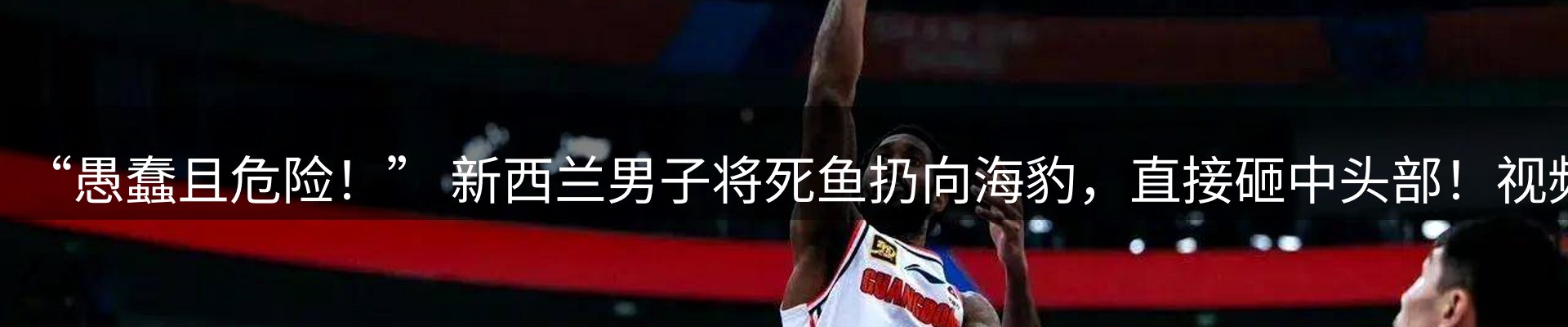 焦点概览
